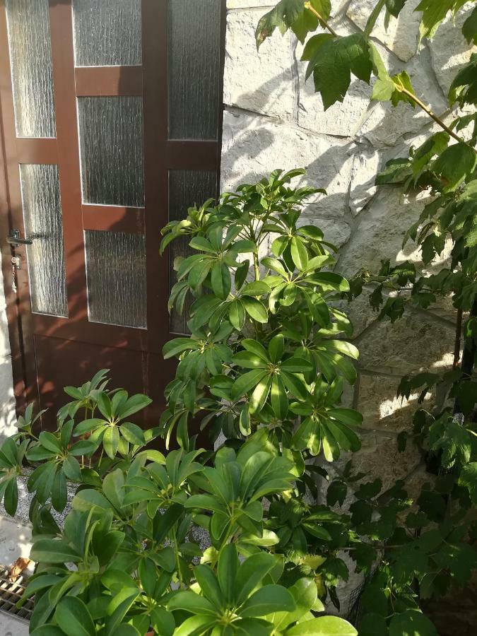Apartman Nada Корнич Экстерьер фото
